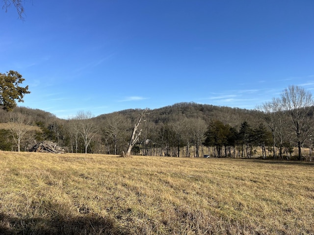 Listing photo 2 for 0 Locke Creek Rd, Readyville TN 37149