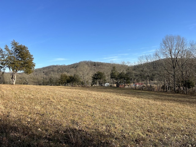 Listing photo 3 for 0 Locke Creek Rd, Readyville TN 37149