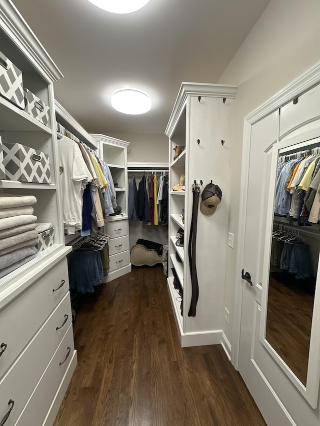 spacious closet featuring dark hardwood / wood-style floors