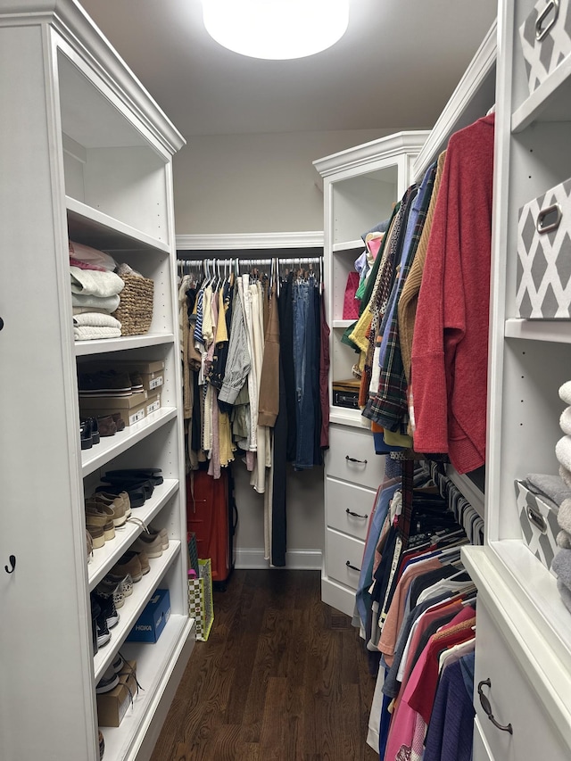 walk in closet with dark hardwood / wood-style flooring