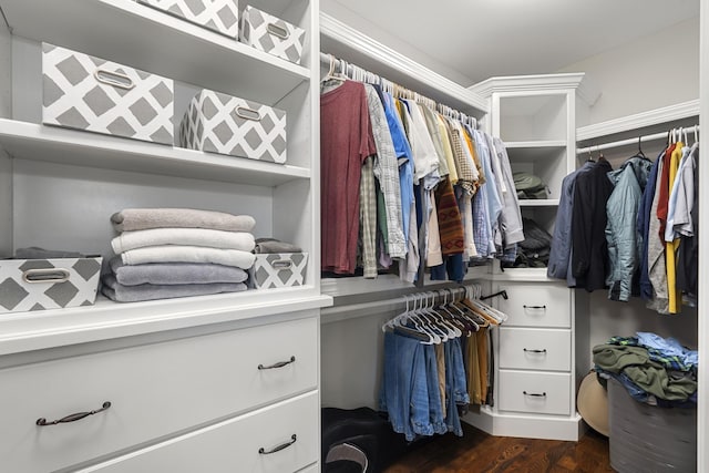 walk in closet featuring dark wood finished floors