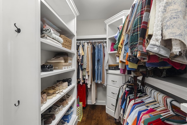 spacious closet featuring dark wood-style flooring