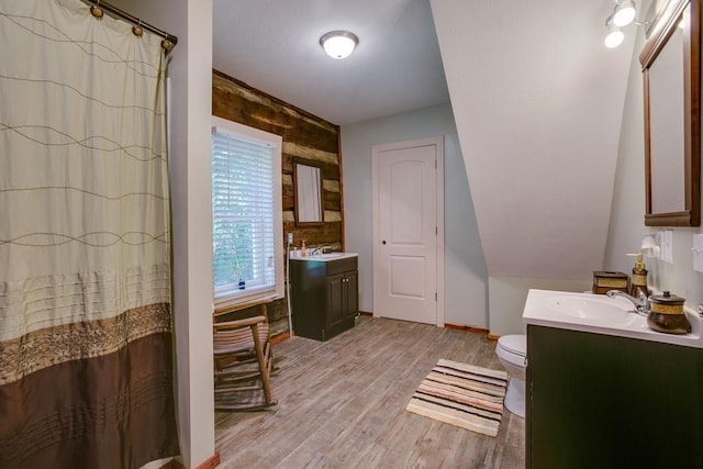 bathroom featuring vanity, wood-type flooring, and toilet