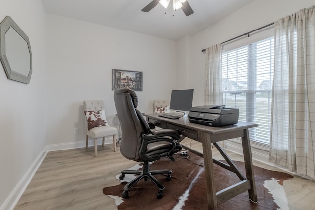 office area featuring ceiling fan and light wood-type flooring