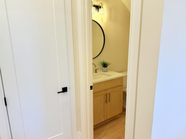 bathroom with hardwood / wood-style flooring and vanity