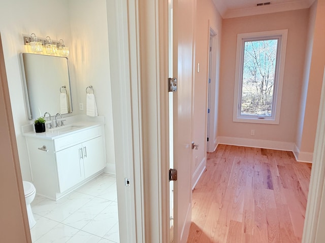 bathroom with vanity, wood-type flooring, and toilet