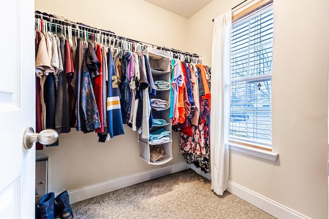 walk in closet with carpet floors