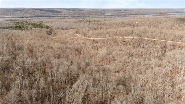 drone / aerial view featuring a rural view