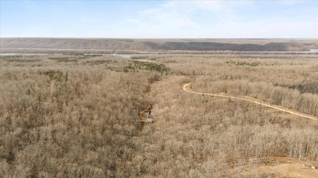 drone / aerial view with a rural view