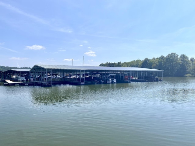 view of water feature with a dock