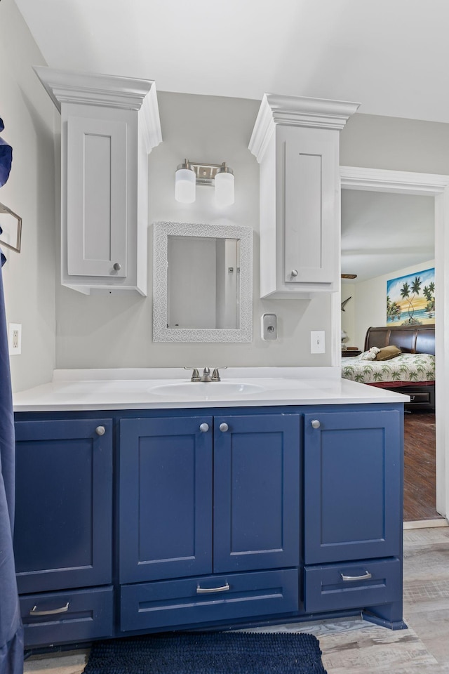 bathroom featuring vanity and wood-type flooring