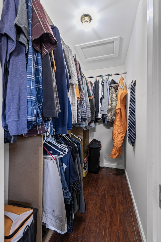 spacious closet with dark wood-type flooring