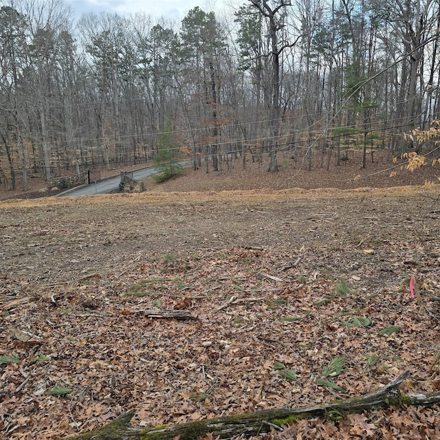 13316 Bellacoola Rd, Soddy Daisy, TN 37379