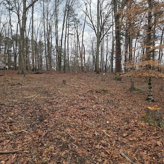 13316 Bellacoola Rd, Soddy Daisy, TN 37379