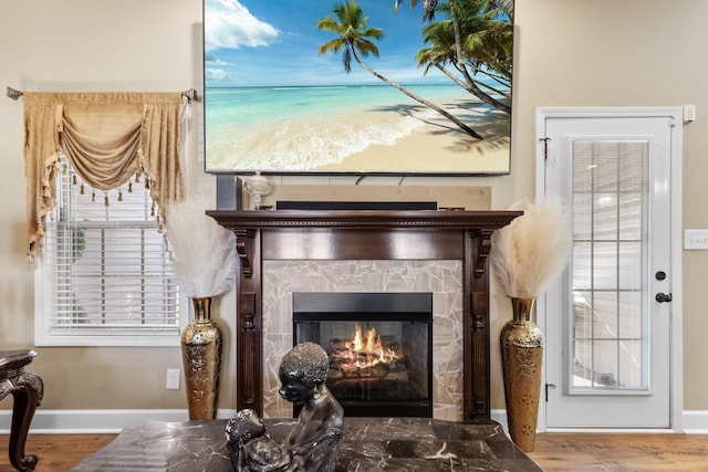 room details featuring hardwood / wood-style flooring and a fireplace