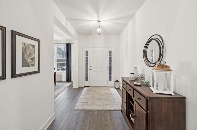 entrance foyer featuring dark hardwood / wood-style floors