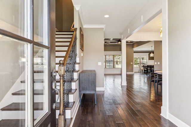 stairway with hardwood / wood-style flooring and ornamental molding