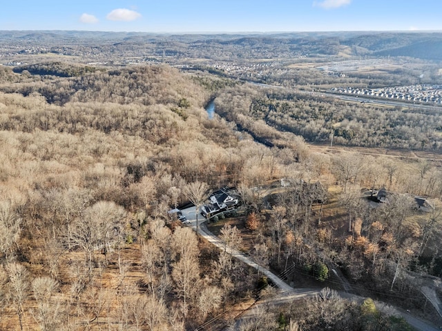 bird's eye view