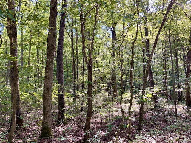 0 Greenbriar Rd, Waverly TN, 37185 land for sale