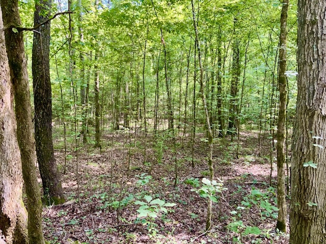 0 Greenbriar Rd, Waverly TN, 37185 land for sale