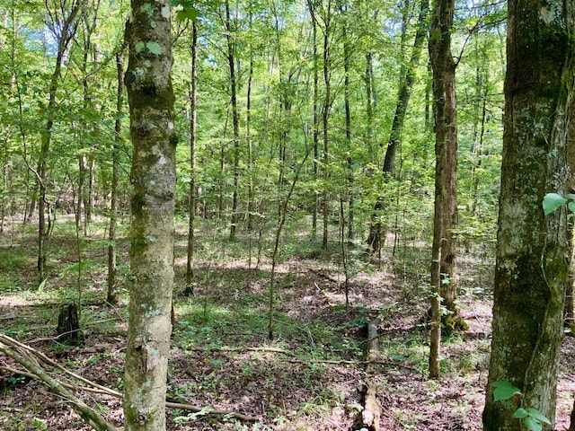 0 Greenbriar Rd, Waverly TN, 37185 land for sale