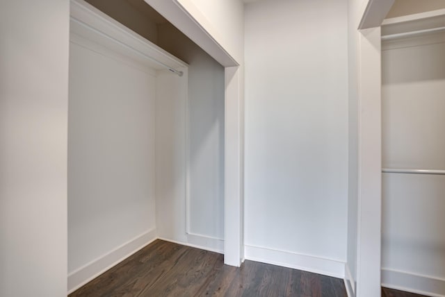 spacious closet with dark hardwood / wood-style floors