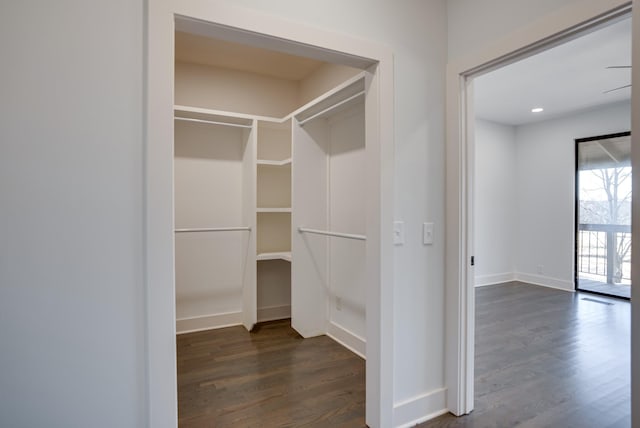 walk in closet with dark hardwood / wood-style floors