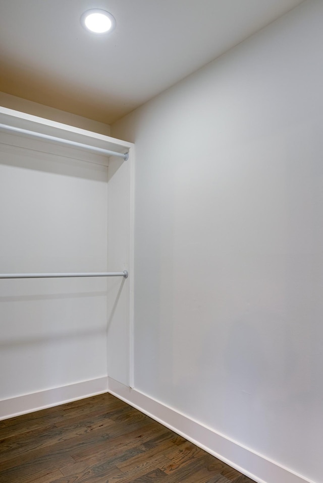 spacious closet featuring dark hardwood / wood-style floors