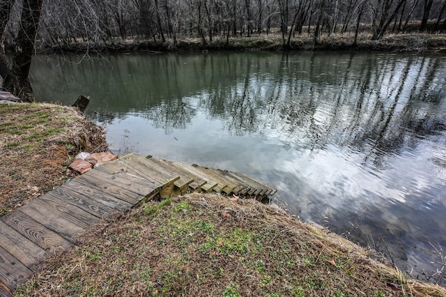 dock area with a water view