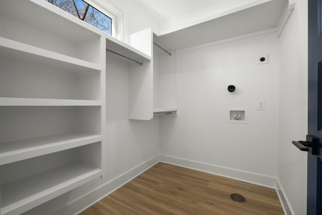 walk in closet with dark hardwood / wood-style floors