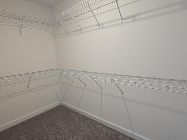 2391 Nelson Way, Cookeville, TN 38506 - walk in closet featuring dark colored carpet