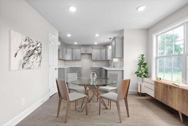 dining space featuring sink and hardwood / wood-style floors