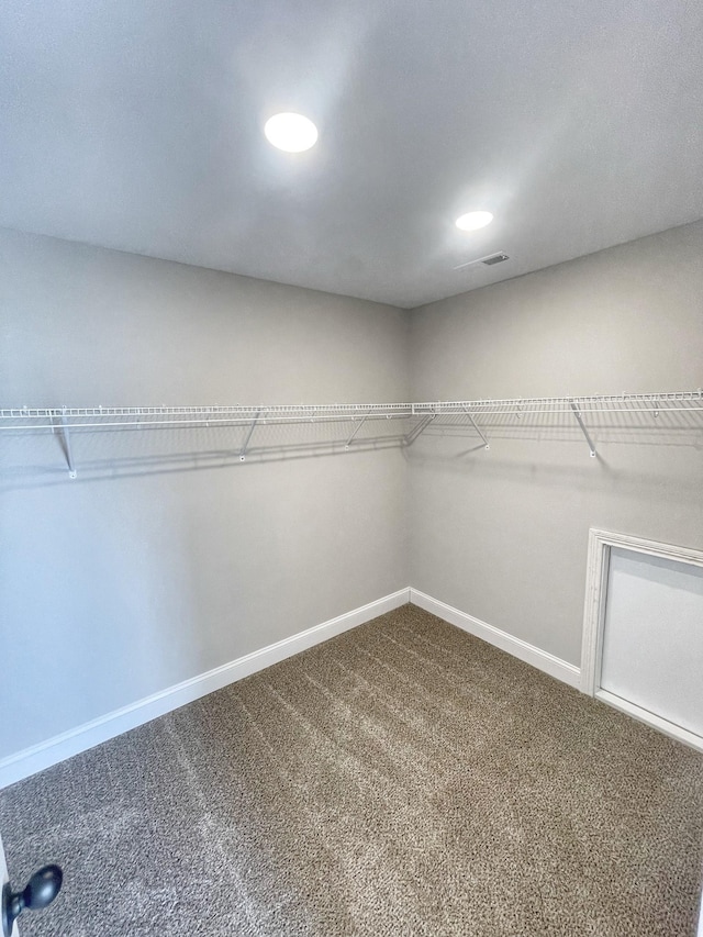 walk in closet with carpet flooring