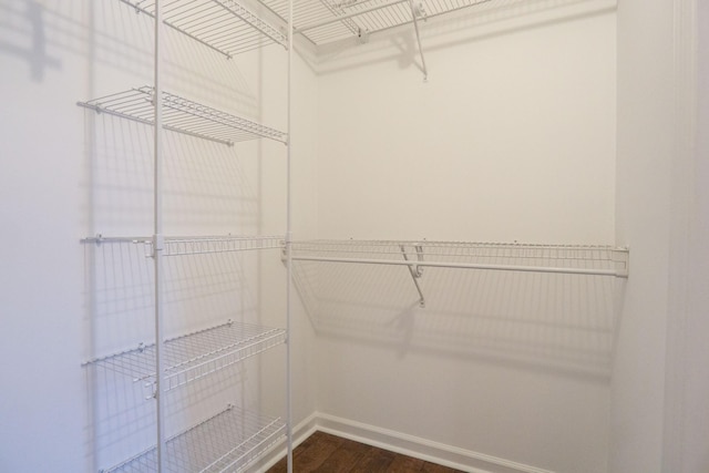 spacious closet featuring dark wood-type flooring