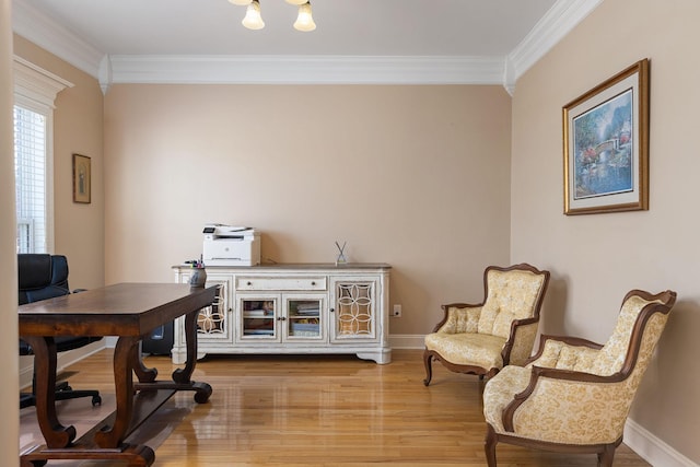 office space with wood-type flooring and ornamental molding