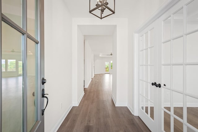 corridor with a wealth of natural light and dark hardwood / wood-style floors