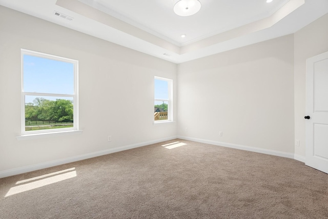 spare room with a raised ceiling and carpet