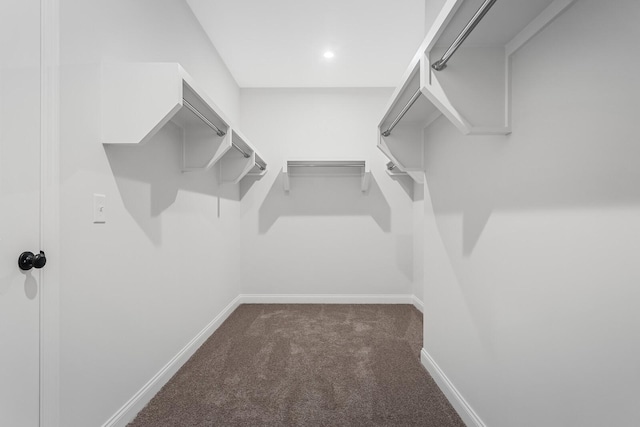 walk in closet with dark carpet