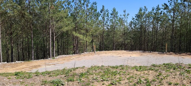 29 Summit Dr, Linden, TN 37096