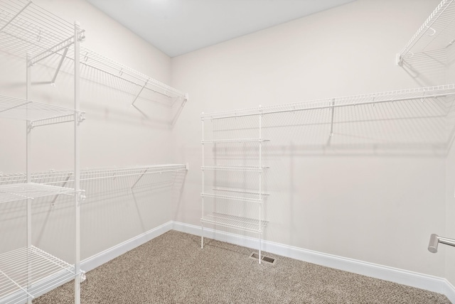 spacious closet featuring carpet