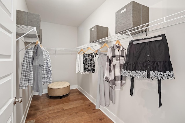 spacious closet with wood-type flooring