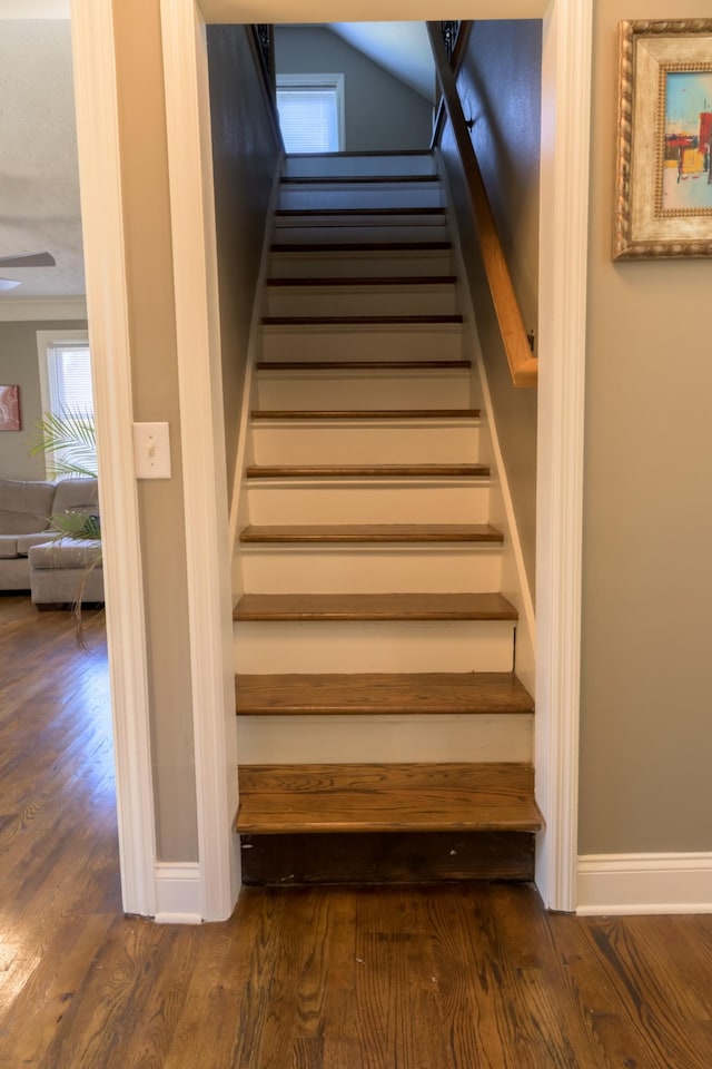 stairway with hardwood / wood-style flooring and ornamental molding