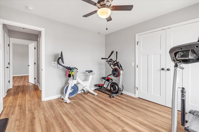 workout area featuring ceiling fan and light wood-type flooring