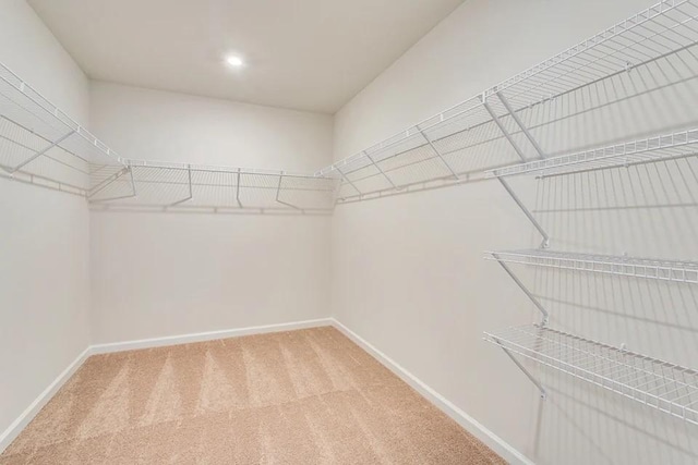 walk in closet featuring carpet floors