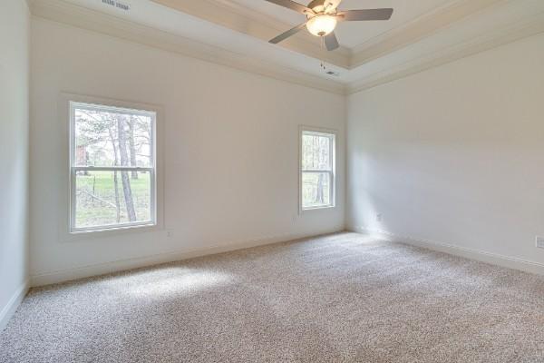 carpeted spare room with crown molding, a raised ceiling, and ceiling fan