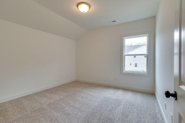 additional living space featuring light colored carpet and lofted ceiling