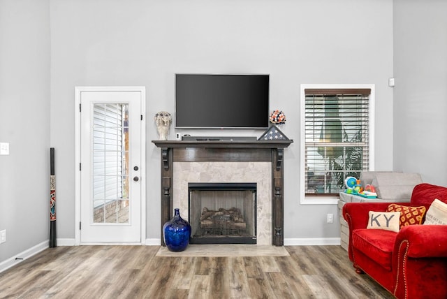 living room with a premium fireplace and wood-type flooring