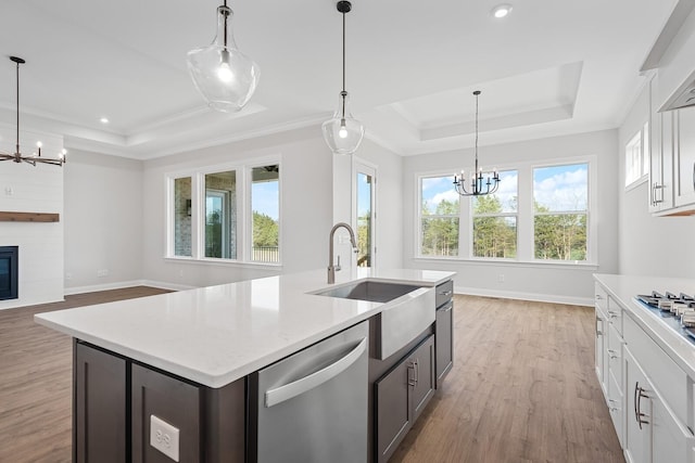 kitchen featuring white cabinetry, stainless steel appliances, a tray ceiling, and a notable chandelier