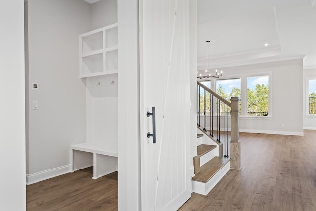 mudroom with ornamental molding, dark hardwood / wood-style floors, a notable chandelier, and a tray ceiling