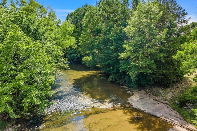 view of nature